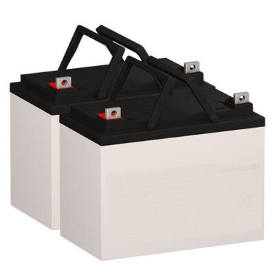Tripp Lite SMARTINTPRO2200RM UPS Battery Set (Replacement)