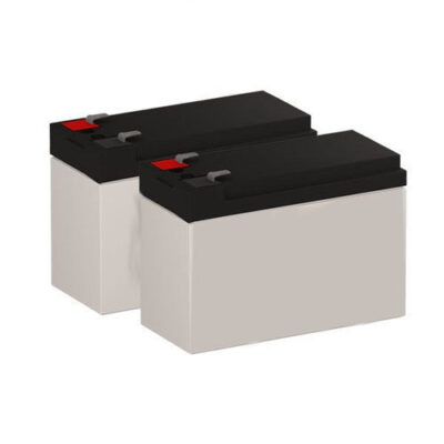 Tripp Lite RegulatorProNet700 (Replacement) Battery Set